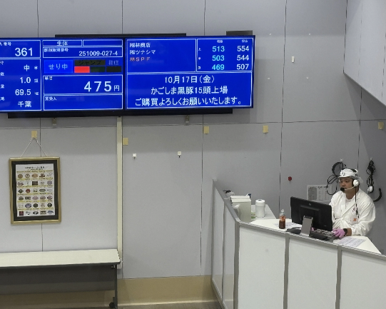 豚枝肉競り場面