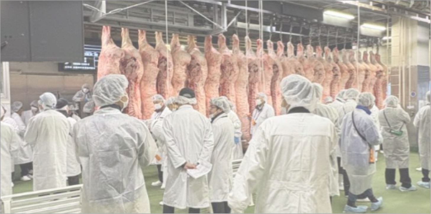 食肉市場内の様子